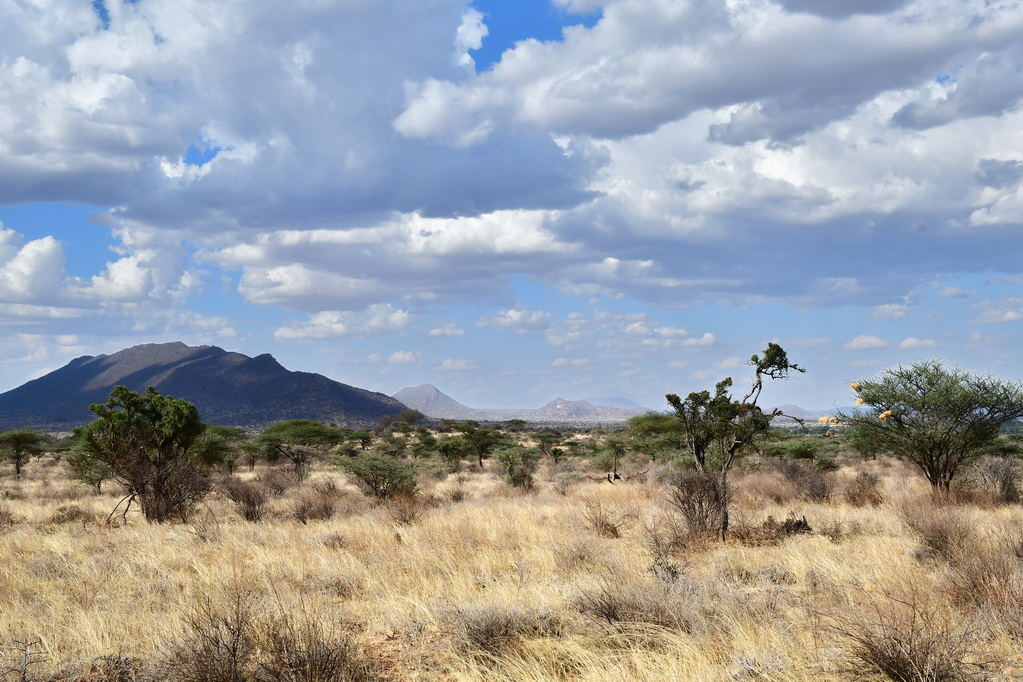 Buffalo Springs Nat. Reserve